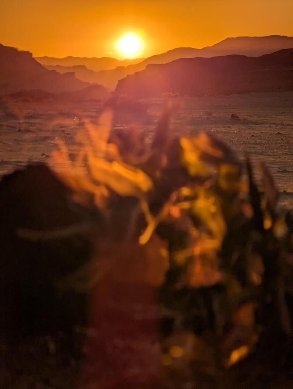 Milky Way Nights Camp Hotel Wadi Rum Exterior photo